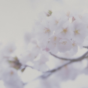 图片区小说区自拍亚洲
